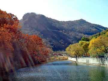 新澳天天开奖资料大全旅游团，工业硫酸